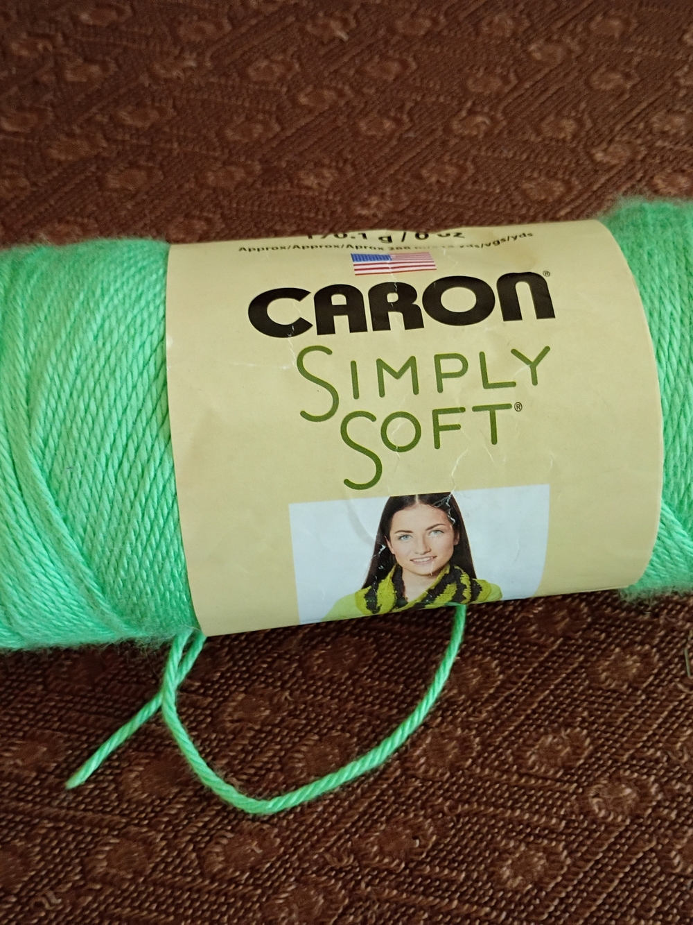 Caron Simply Soft 6 oz Yarn Skein New Limelight Green